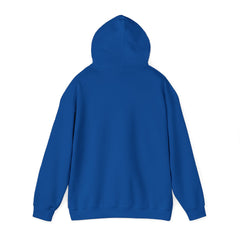 Sonic Unisex Heavy Blend™ Hooded Sweatshirt - IGZ Clothing 