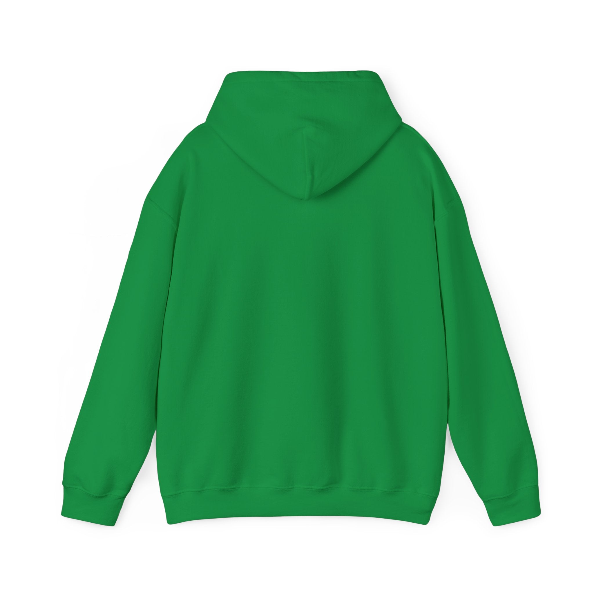 TMNT Unisex Heavy Blend™ Hooded Sweatshirt - IGZ Clothing 