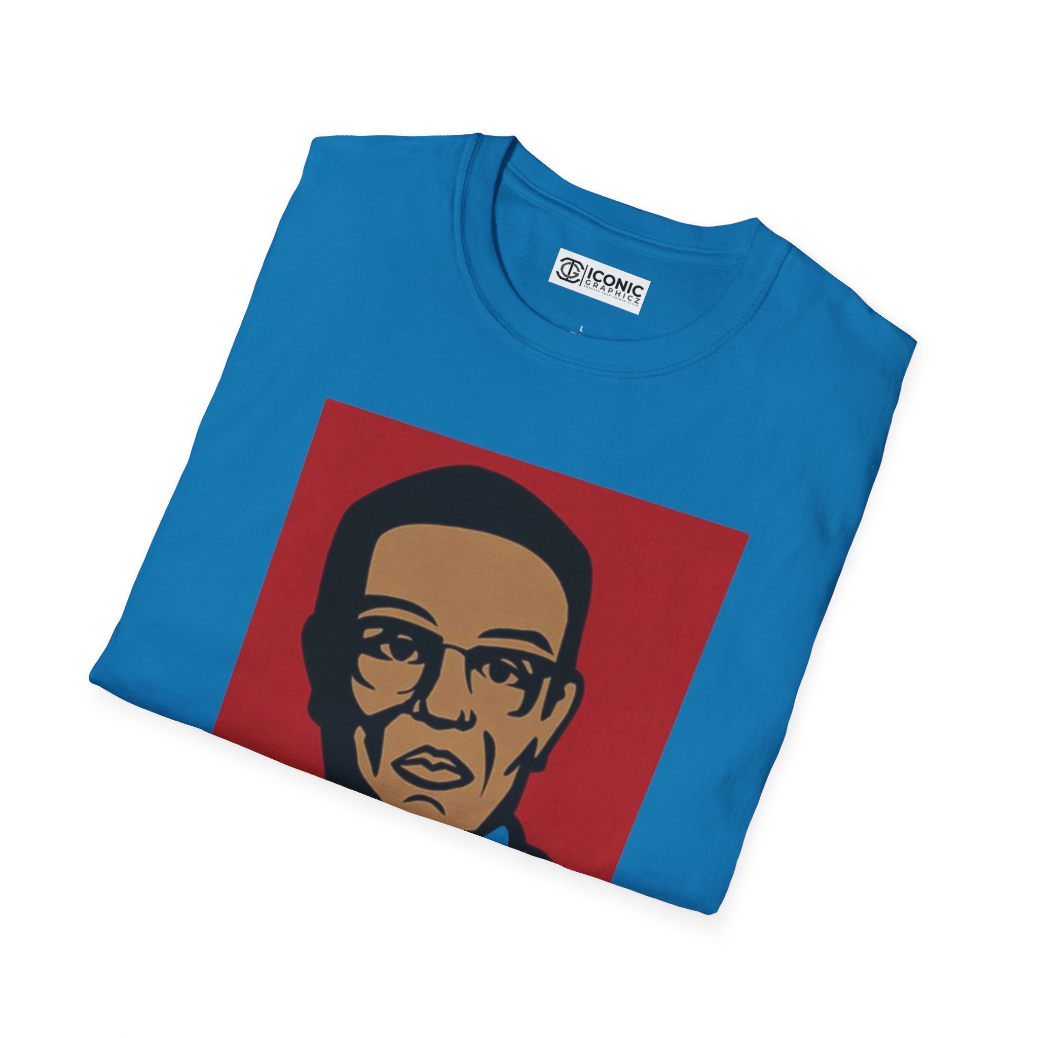 Breaking Bad Unisex Softstyle T-Shirt - IGZ Clothing 