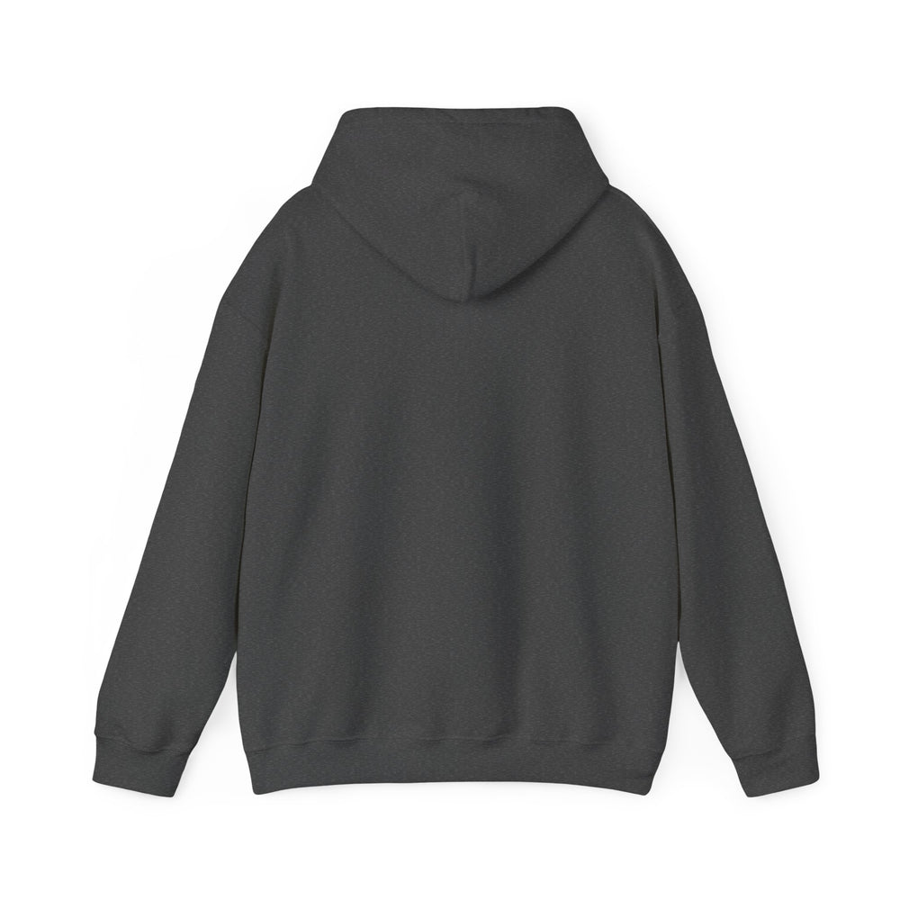 Black history Unisex Heavy Blend™ Hooded Sweatshirt - IGZ Clothing 