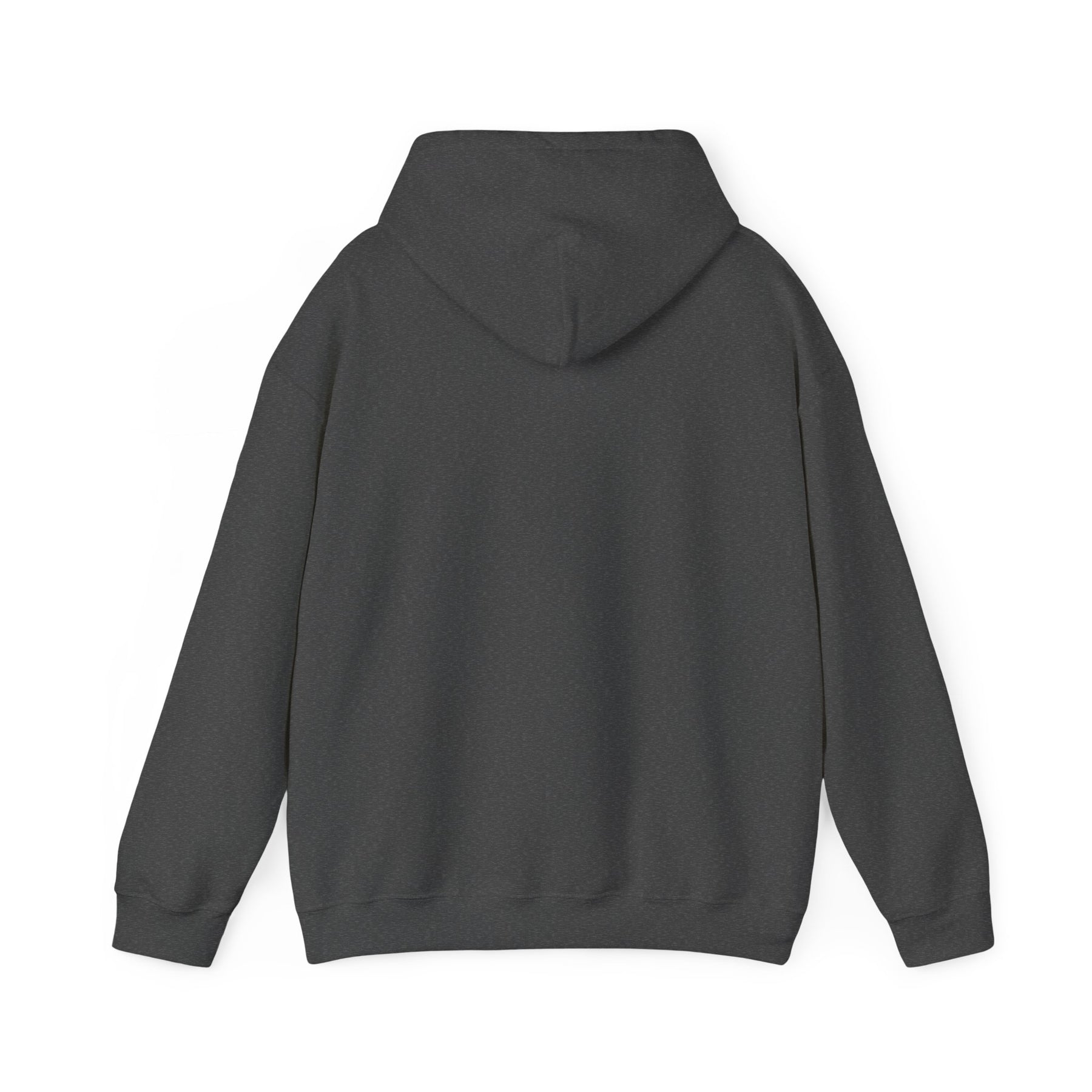 Black history Unisex Heavy Blend™ Hooded Sweatshirt - IGZ Clothing 