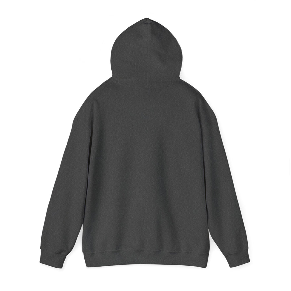 Black history Unisex Heavy Blend™ Hooded Sweatshirt - IGZ Clothing 