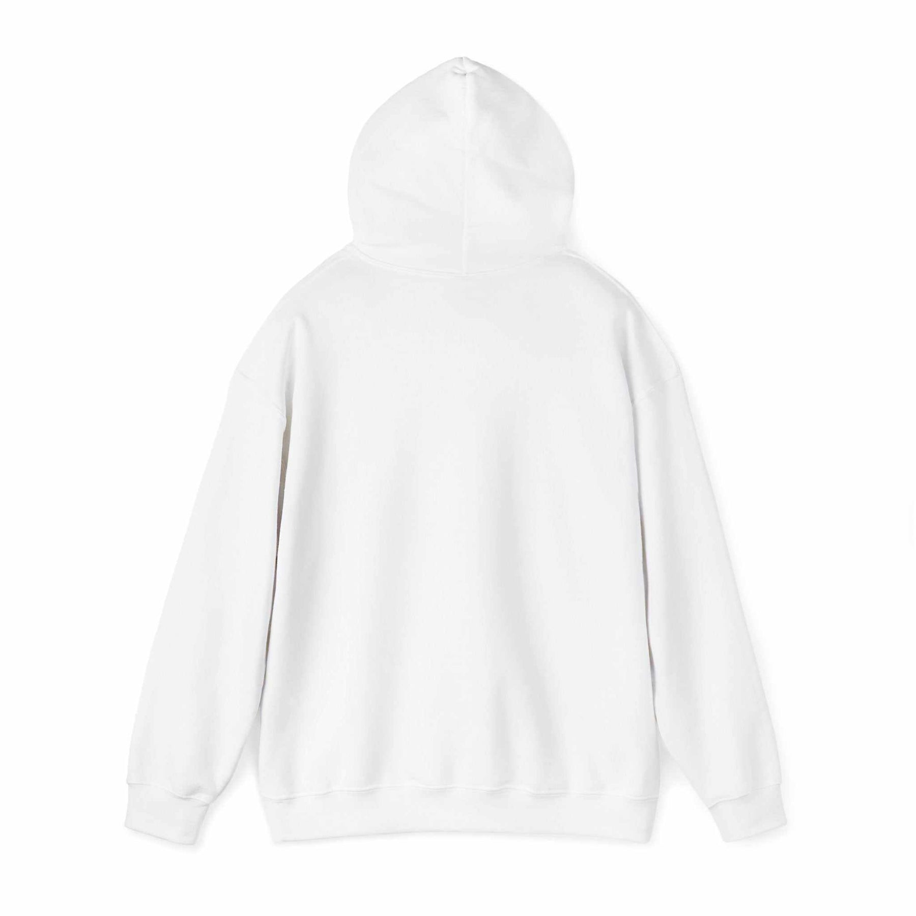 DBS Unisex Heavy Blend™ Hooded Sweatshirt - IGZ Clothing 
