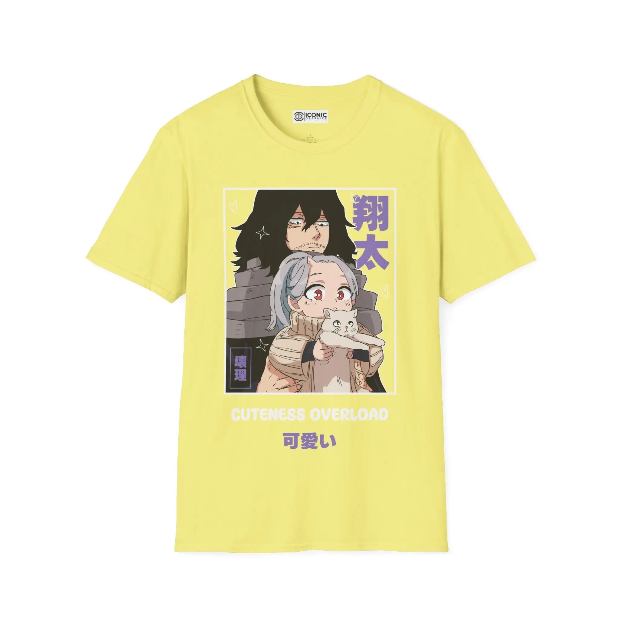 Aizawa x Eri My hero academia T-Shirt Printify