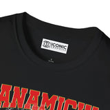 SlamDunk Hanamichi Sakuragi T-Shirt Printify
