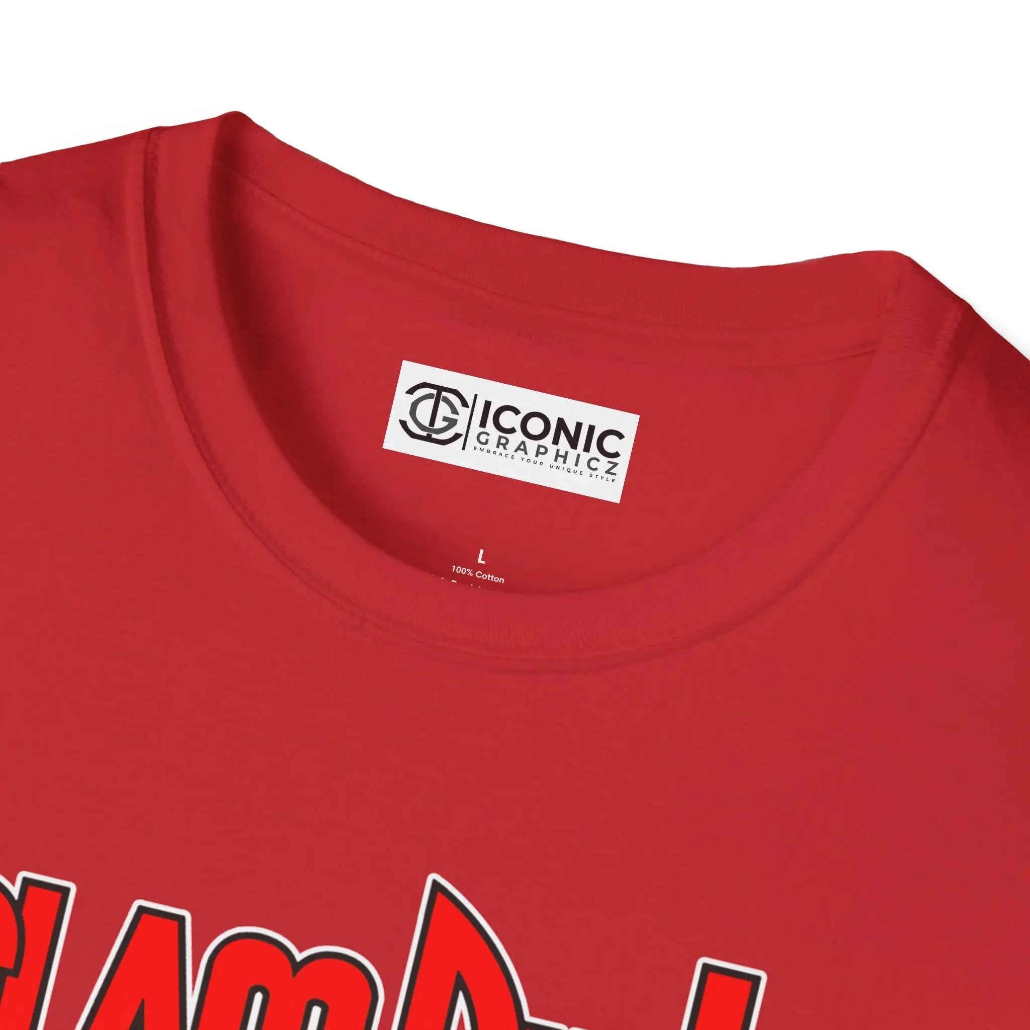 SlamDunk T-Shirt Printify